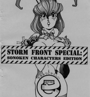Fishnets Storm Front Special – SonoKen Characters Edition- Gunsmith cats hentai Adult
