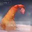 Pov Blowjob Ebi Fry Sou Uke Anthology | The Anthology of Fried Shrimp Really Getting Around Cut